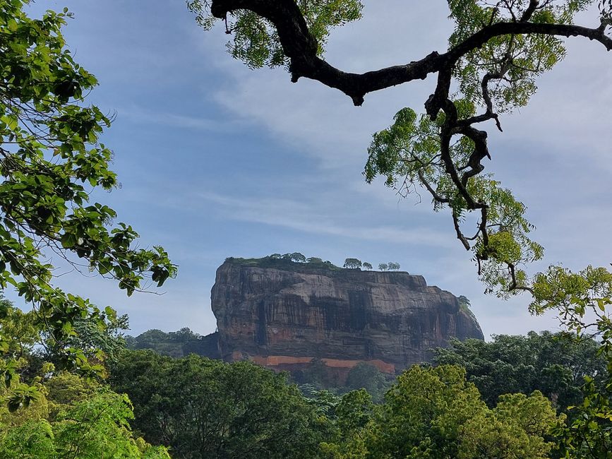 Dambulla Cave Lodge