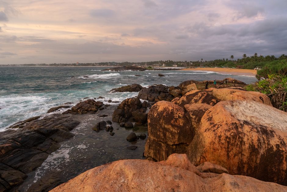 Wildlife & Beaches 5D