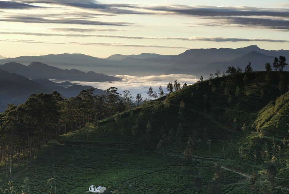 Nuwara Eliya Tea Country Trail