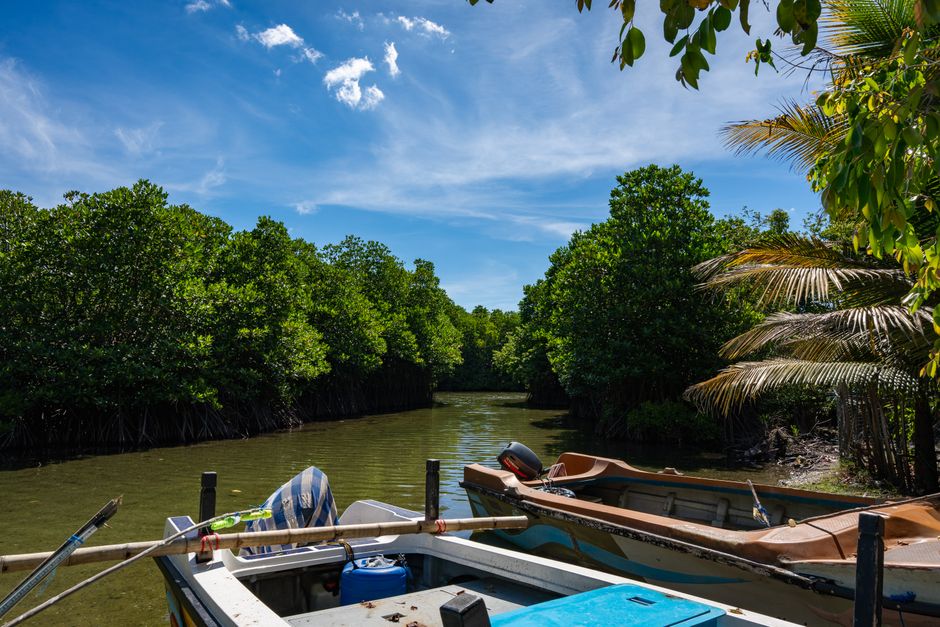 Bentota Beach and River Safari